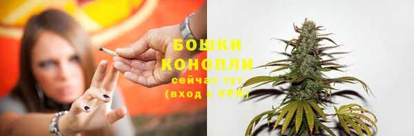 СК Богородицк
